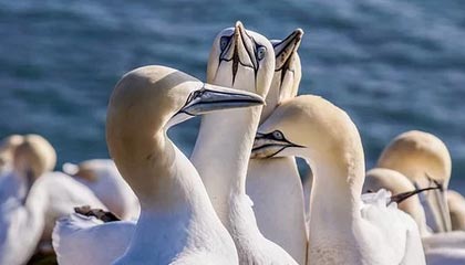 开云体育-鲁尔区德比迎来高能比赛，鲁尔区德比体育市场化