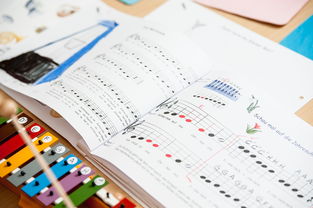 kaiyun体育综合-中小学体育课安全教育实施现状研究，体育课堂安全背景下的小学体育课现状